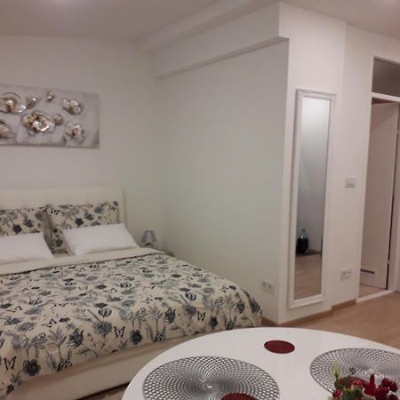 Apartman Mmvg Studio Zagreb Airport Велика-Горица Экстерьер фото
